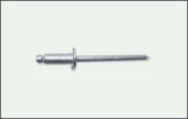 заклепка для глухих отверстий сталь/сталь 4,8х12 (уп.50шт.) TCG