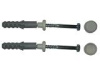 дюбель с шурупом для унитаза ZWC 10/6X80 (уп.2шт.)
